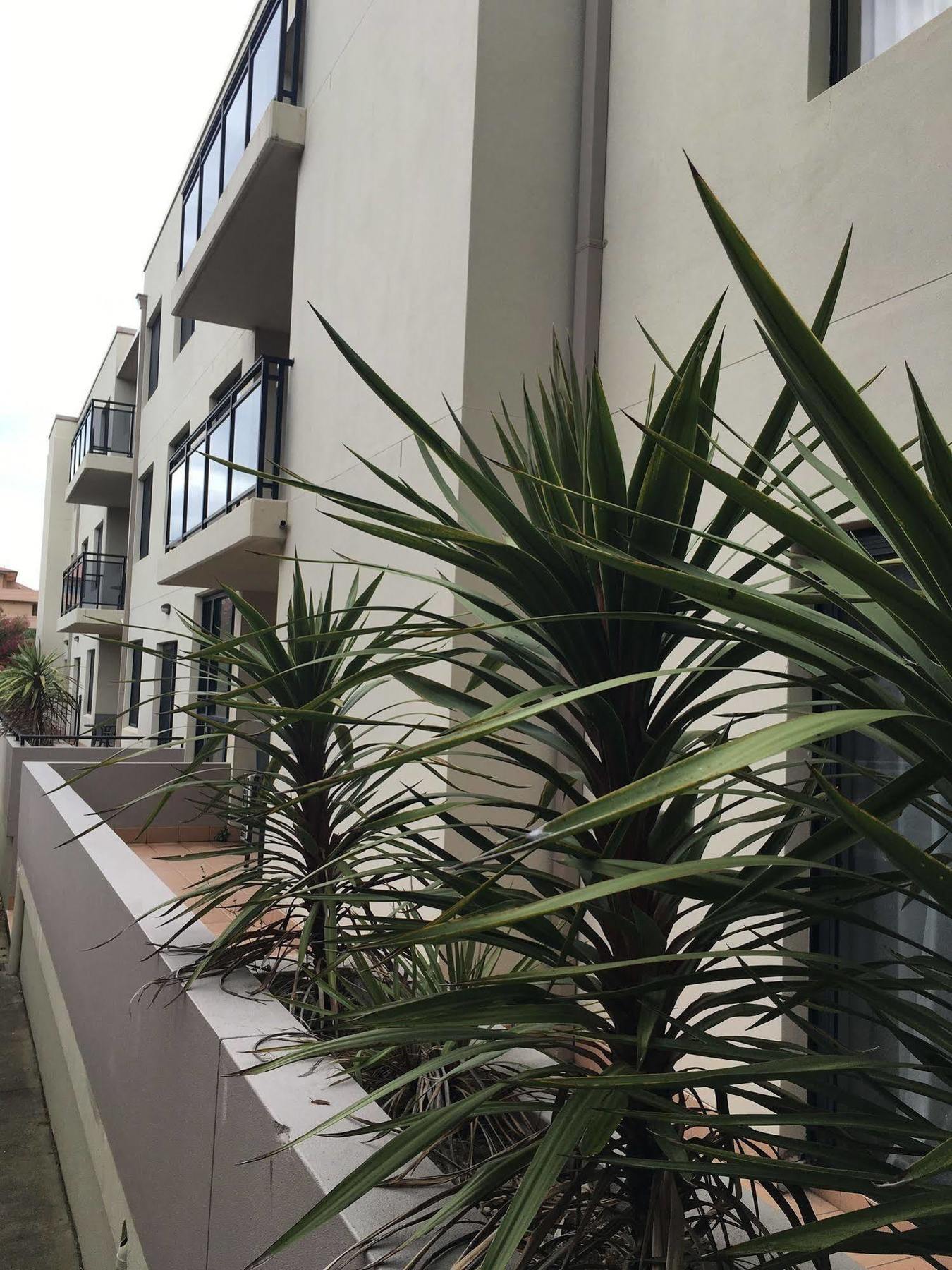 Wollongong Serviced Apartments Dış mekan fotoğraf